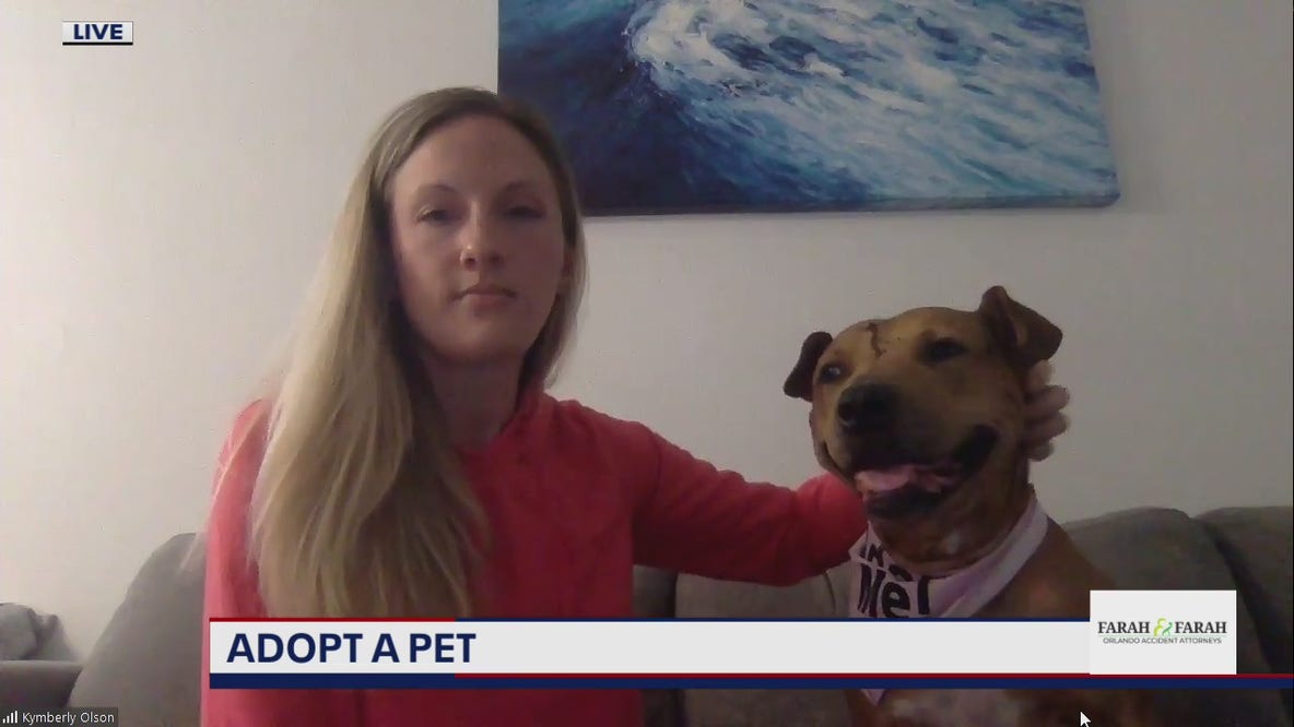 Adopt-A-Pet: Meet Masha